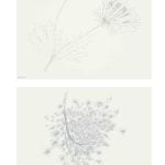 Tony Cragg - Sticks, Stigmna, Stones and Stamen – The Munich Sketchbook - 2023