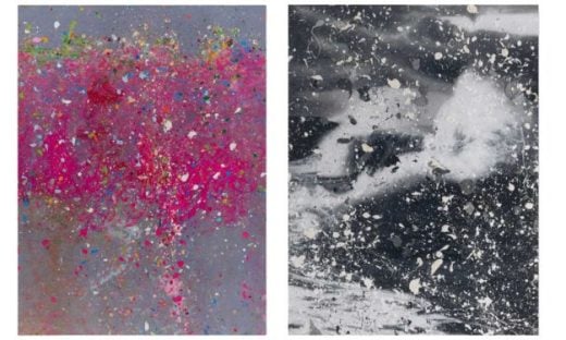 Damien Hirst - Where the Land Meets the Sea