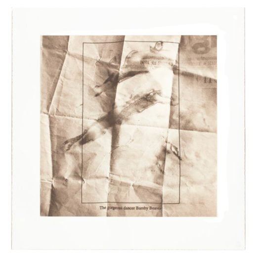 Vik Muniz - Displacements: Bamby - 2023