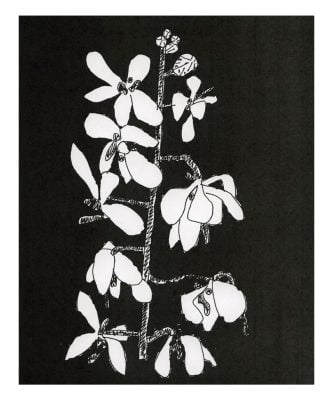 Jonas Wood - Untitled - 2024