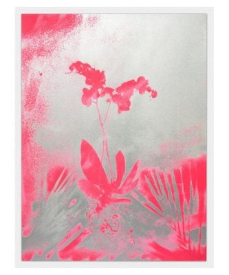 Marc Quinn - Forecourt Herbarium (L pink) - 2024