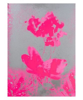 Marc Quinn - Forecourt Herbarium (s pink) - 2024