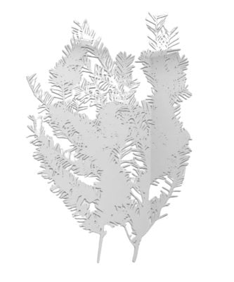 Marc Quinn - Our Botanic Selves (Pacific Yew) - 2024