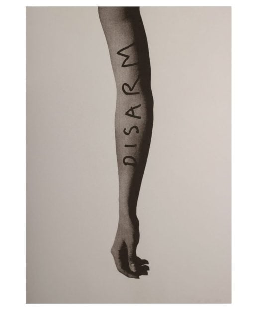 Fiona Banner aka The Vanity Press - Disarm - 2024