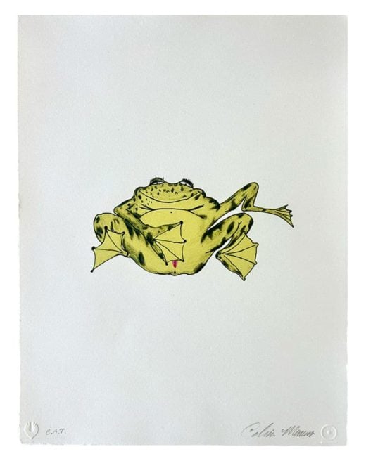 Calvin Marcus - Untitled - 2024