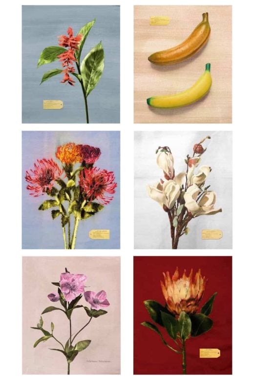Vik Muniz - Flora Industrialis - 2024