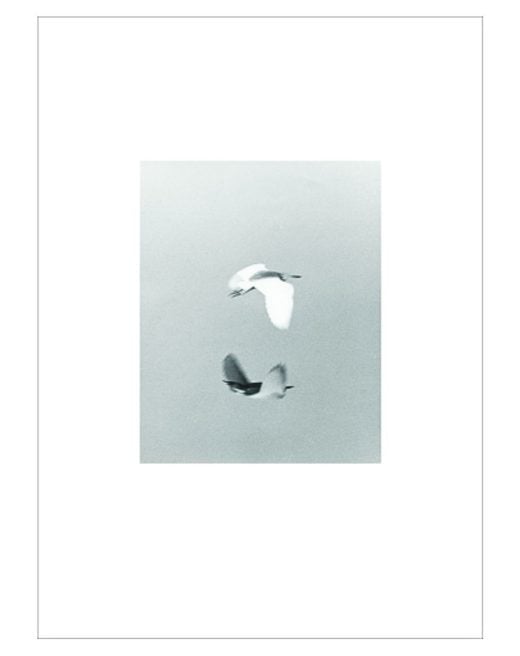 Jochen Lempert - Black River Yamuna - 2024