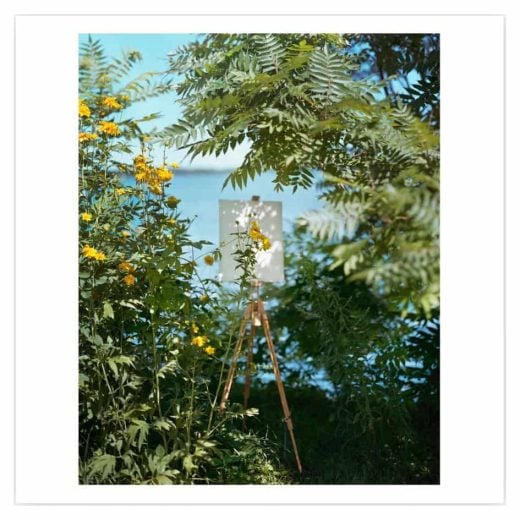 Alec Soth - White Bear Lake, Minnesota, 2019 - 2024