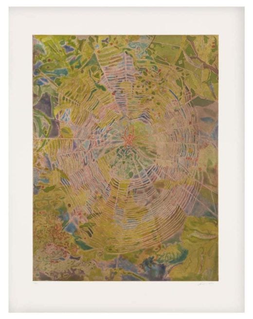 Hayley Barker - Orb Weaver, Late Summer - 2024