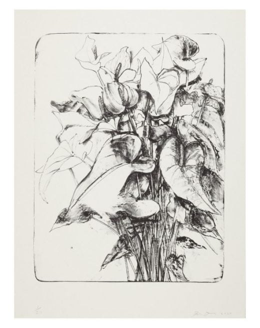 Jim Dine - Anthurium - 2024
