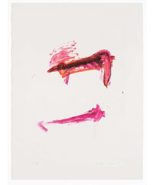 Martha Jungwirth - Rising Flags Lithograph - 2024
