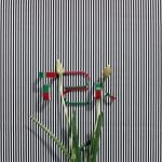 Private Collection - Annette Kelm - TZK - 2013