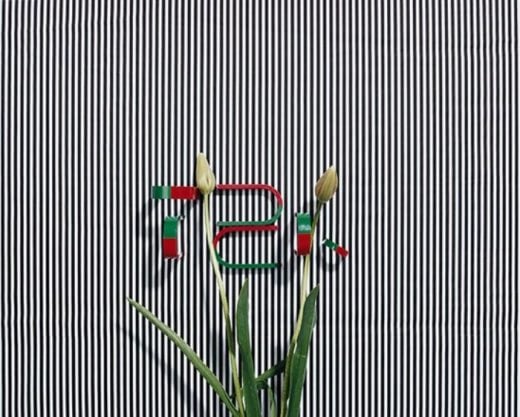 Private Collection - Annette Kelm - TZK - 2013