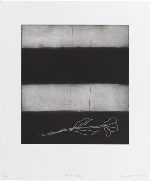 Private Sale - Sean Scully - White Rose - 2023