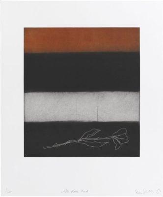 Private sales - Sean Scully - White Rose, Red - 2023