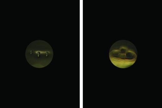 Private Collection - Tauba Auerbach - Pilot Wave Induction (Altered Stills) - 2018