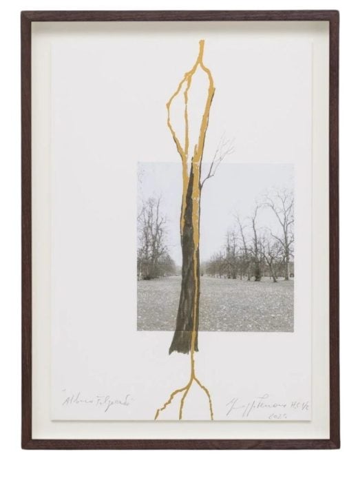 Giuseppe Penone - Albero folgorato (Thunderstruck Tree) - 2025
