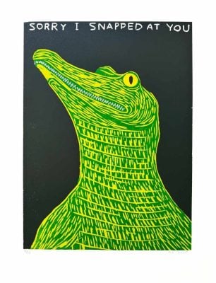 David Shrigley - SORRY I SNAPPED AT YOU - 2025