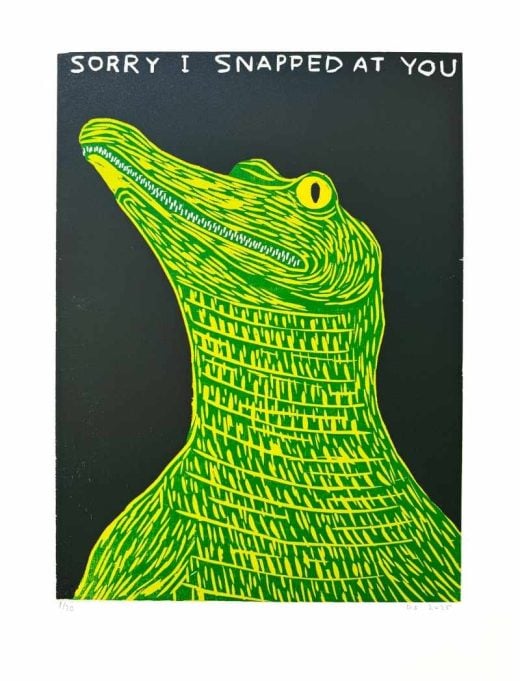 David Shrigley - SORRY I SNAPPED AT YOU - 2025