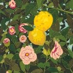 Hilary Pecis -  Lemons and Camellias - 2025