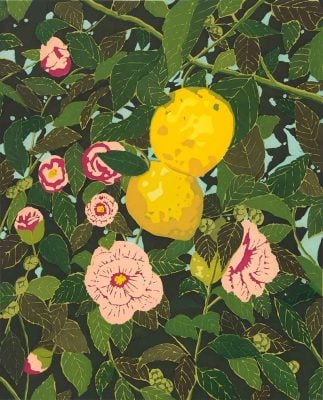 Hilary Pecis -  Lemons and Camellias - 2025
