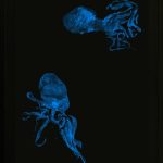 Private Collection - Nicolas Deshayes - Blueprint for Flints in Gluten Private Collection - Nicolas Deshayes - Blueprint for Flints in Gluten - 2013