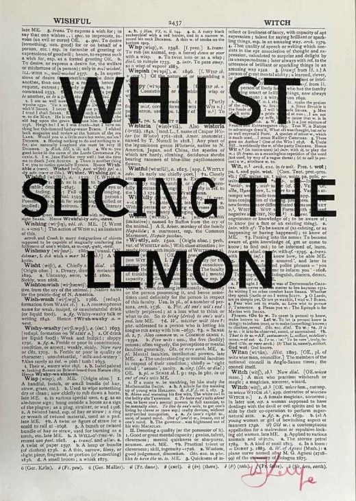 Private Collection - William Kentridge & Neo Muyanga - Second-Hand Reading - 2013