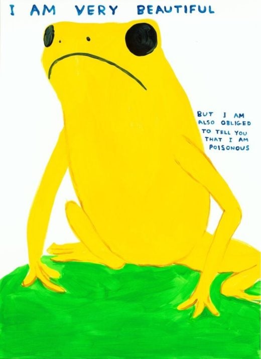David Shrigley - I am very beautiful - 2025