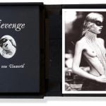 Private Collection - ELLEN VON UNWERTH - REVENGE (WITH PRINT) - 2003