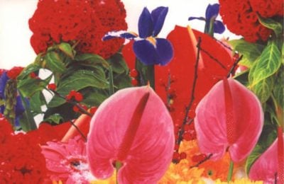 Private Collection - Marc Quinn - The Flamingo Flowers (from the Winter Garden series) - 2004