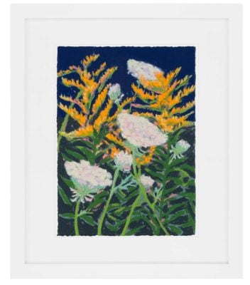 Nicole Wittenberg - Goldenrod and Queen Anne's Lace - 2025