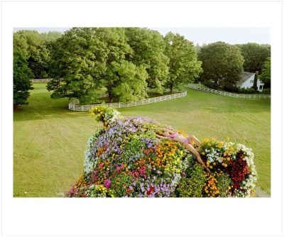 Juergen Teller - Stephanie on Puppy, Connecticut 2000 (2003)