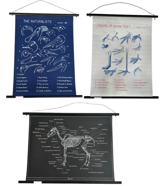 Private Collection - Mark Dion - Projekt-Reihe