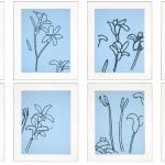 Alex Katz - Lilies 1 Portfolio - 2024