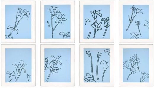Alex Katz - Lilies 1 Portfolio - 2024