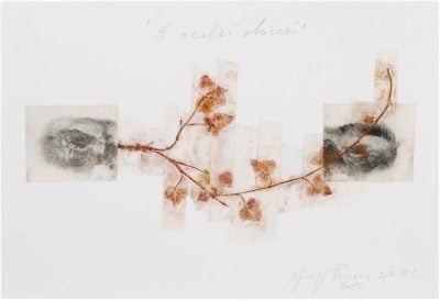 Giuseppe Penone - A occhi chiusi (With Closed Eyes) - 2025