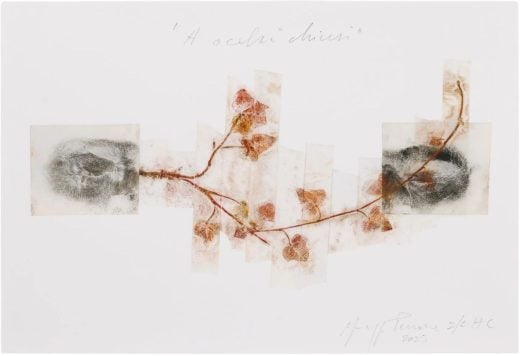 Giuseppe Penone - A occhi chiusi (With Closed Eyes) - 2025