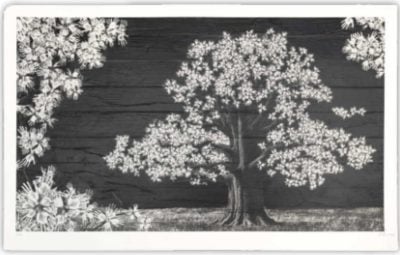 JR - Adventice, Montpellier, France - 2025