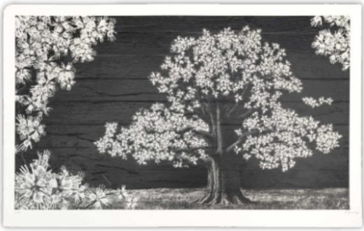 JR - Adventice, Montpellier, France - 2025