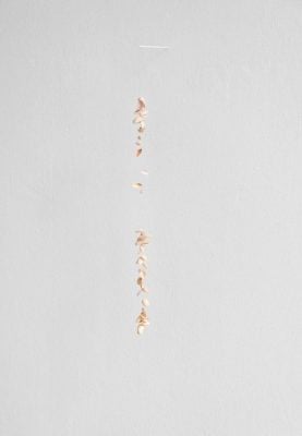 Nina Canell - Untitled (1) - 2025