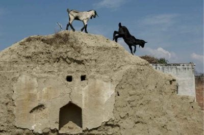 Sunil Gupta - Untitled from the series Country Portrait of an Indian Village - 2006